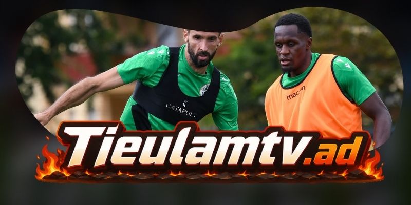 Gợi ý chốt kèo tổng hợp trận Gornik Zabrze vs Ferencvarosi TC ngày 14/08